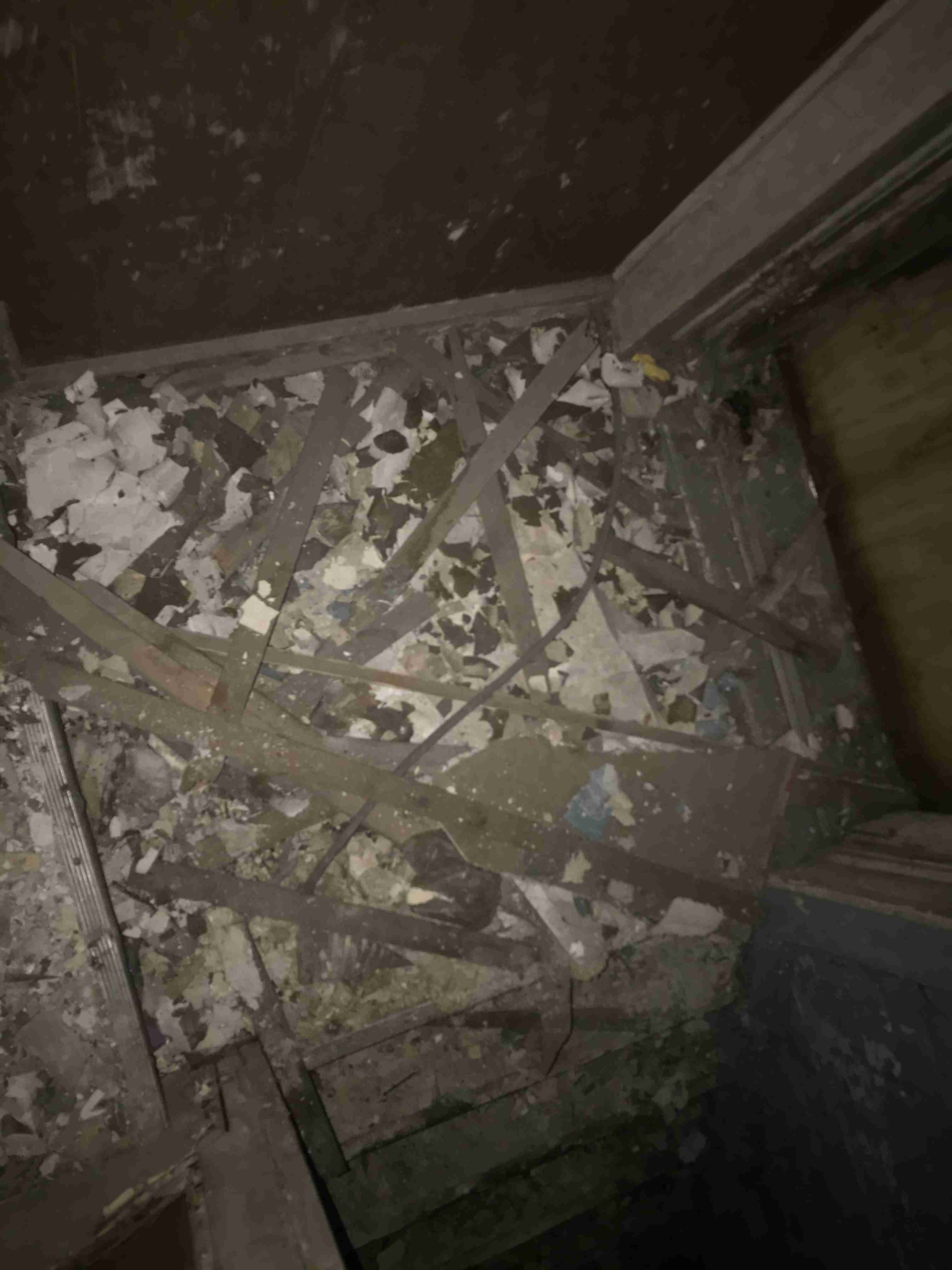 Photo Aug 20, 7 13 08 PM.jpg